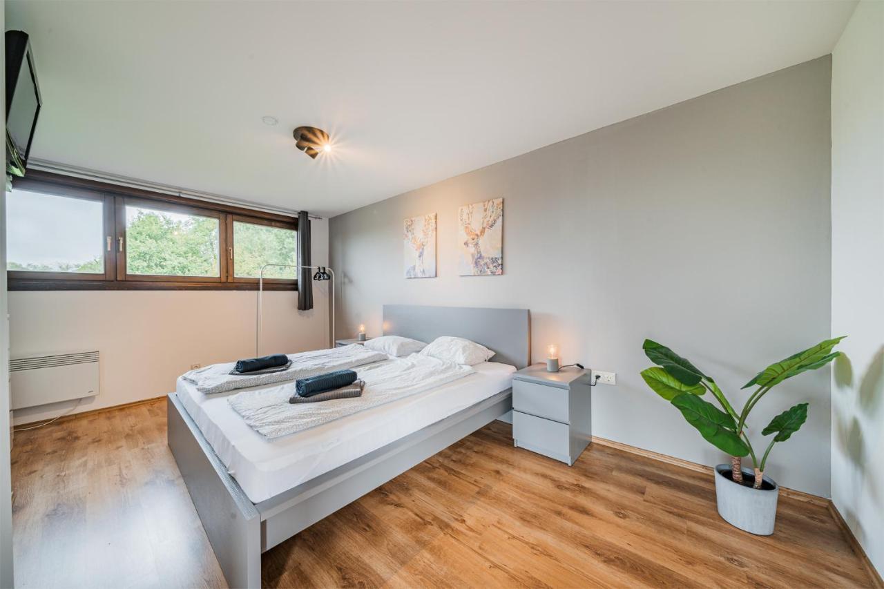 Panorama-Apartments In Unmittelbarer See-Nahe 쉬플링암씨 외부 사진